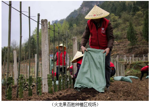 沃土春播正当时　必胜客扶业计划开新篇