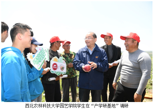 引人才促发展　必胜客乡村振兴项目持续升级