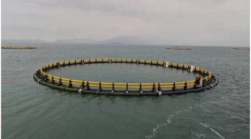 中船六〇五院成功承接汕尾重力式网箱项目
